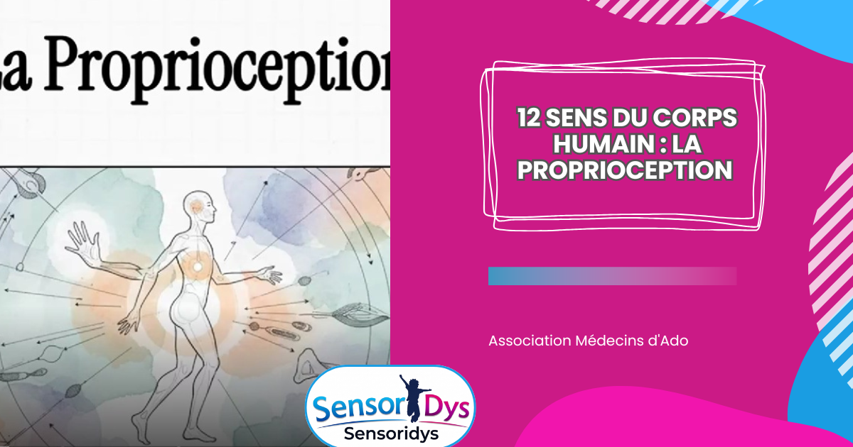 12 sens du corps humain : la proprioception – Sensoridys